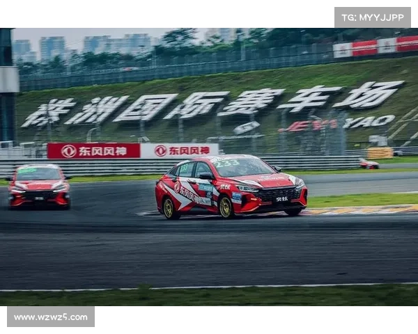 中国汽车赛道排名-中国汽车赛事有哪些全面盘点各类赛事与看点介绍