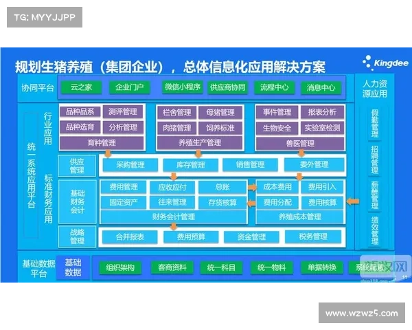 赛事举办全流程管理:从精心策划到完美收尾 赛事举办全流程管理:从精心策划到完美收尾