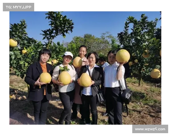 陶冶纵横赛事主题活动培养情操提升竞技精神融合平台